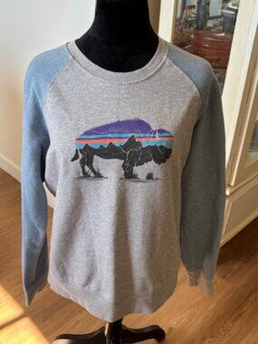 Patagonia Blue Gray Lightweight Long Sleeve Sweatshirt Unisex Mens Med